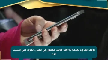 توقف مفاجئ لخدمة 60 ألف هاتف محمول في مصر.. تعرف على السبب الآن